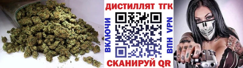 купить Губкин Дистиллят ТГК концентрат