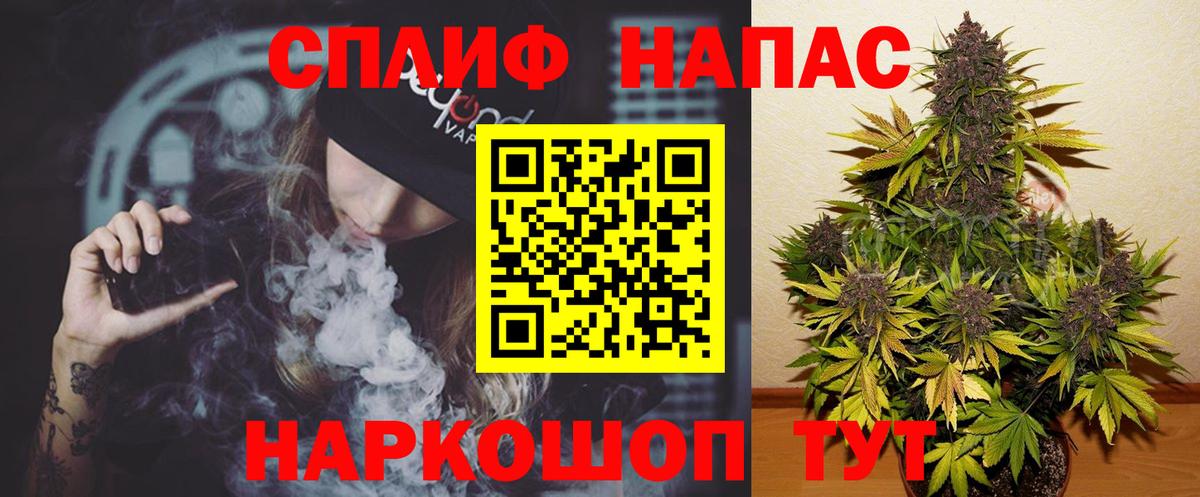 Шишки марихуана марихуана  Вход с VPN  Марихуана Amnesia  Губкин 